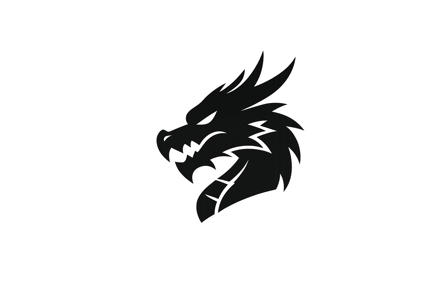 DRAGON CLASS
