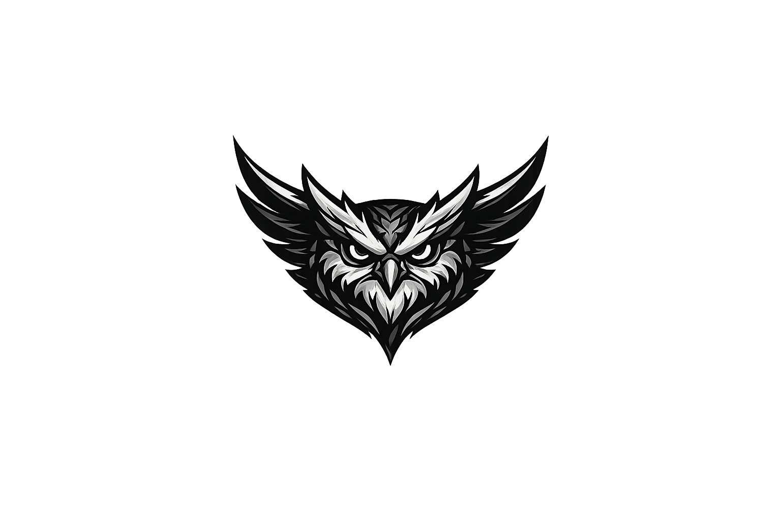 OWL CLASS