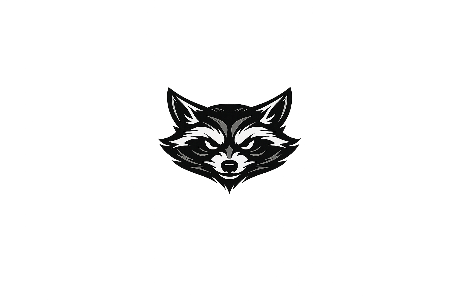 RACCOON CLASS